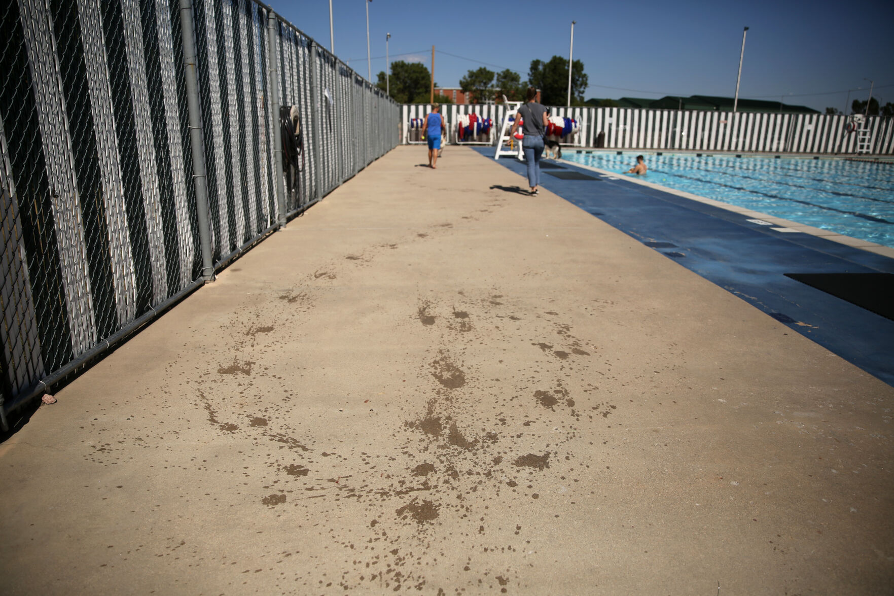 091320-news-dogsplash 20.jpg